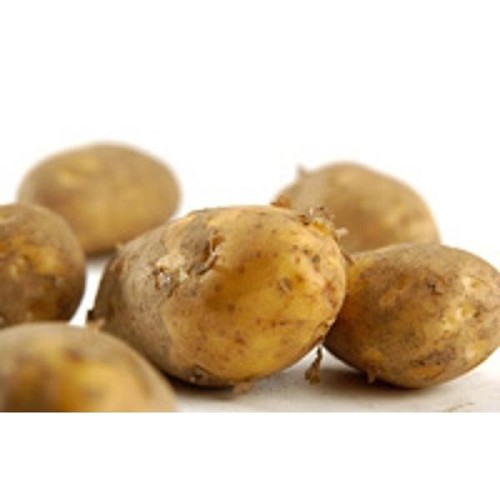 Kartoffeln mehlig, regionale Ernte