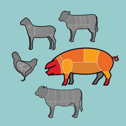 100% bio Schweinefleisch