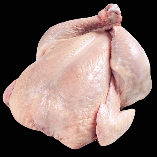 schwarze Babypute ± 4kg eine der besten Rassen 