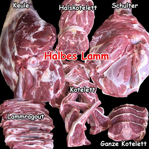 Barbecue Grill : BioBox halbes Lamm