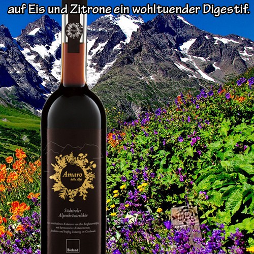 Wein und Bier : Amaro delle Alpi Kräuterlikör 0.5l