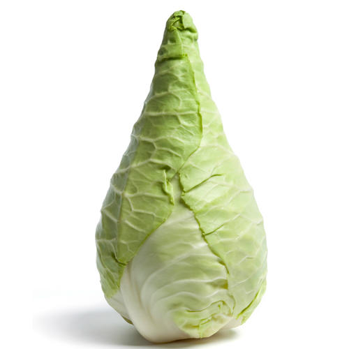 1 Spitzkohl 600g
