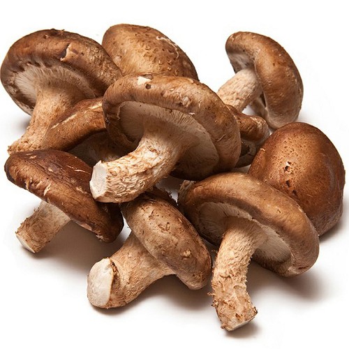 Shiitake-Pilze, regionale Ernte 250g