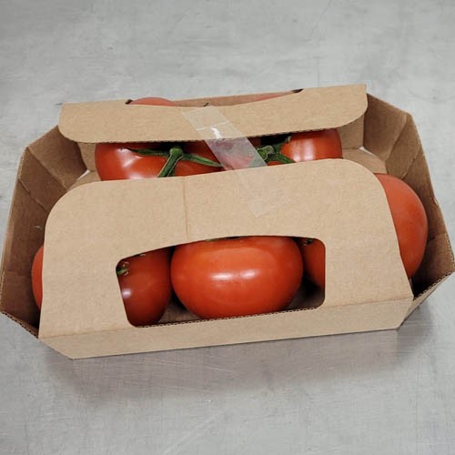Strauchtomaten sind fest und knackig 1kg