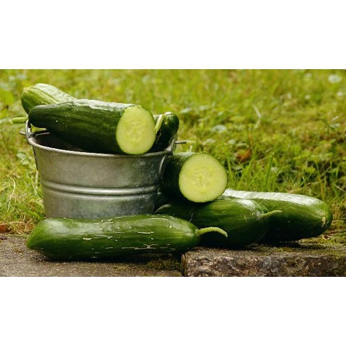 Mini Gurken, deutsche Ernte 500g