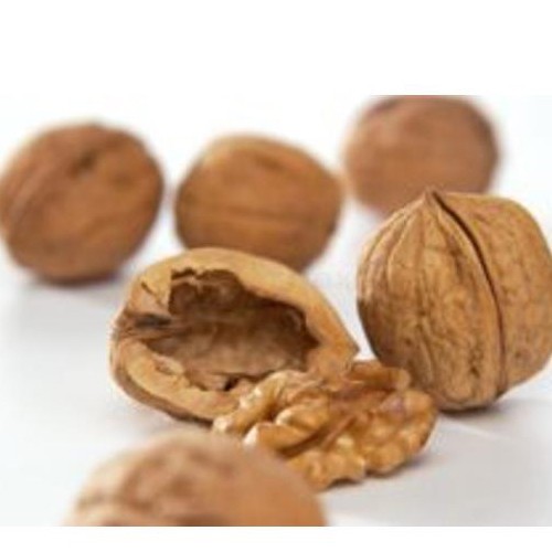 Walnüsse 