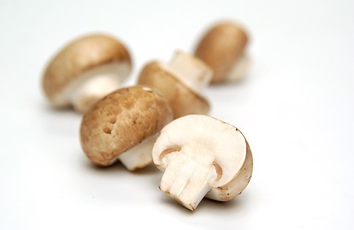 Steinchampignons 300g