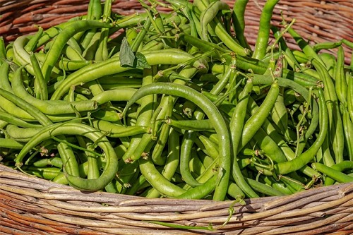 Buschbohnen grün 500g
