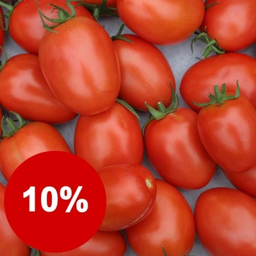 Strauch-Tomaten 1kg