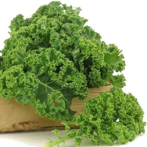 Grünkohl, regionale Ernte