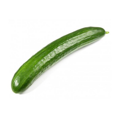 Salatgurken 