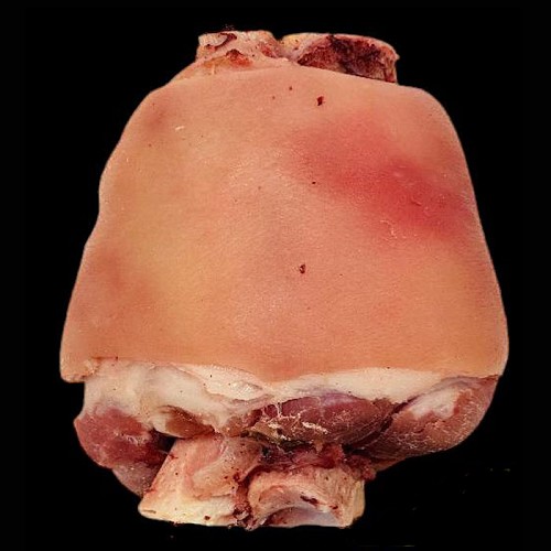Schwein vorderhaxe vorgekocht 500g