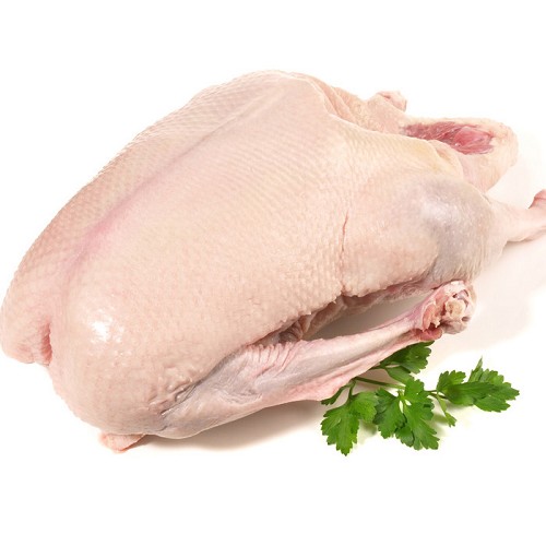 Bauern Gans ca 4,5kg 