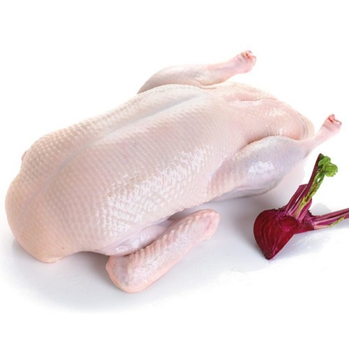 Barbarie-Ente, ca 2,3kg