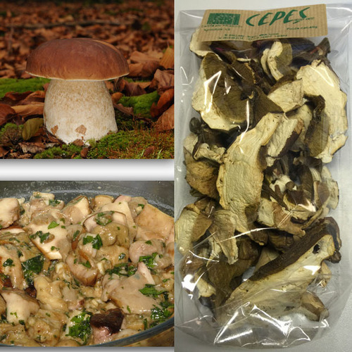 Steinpilze getrocknet 40g 