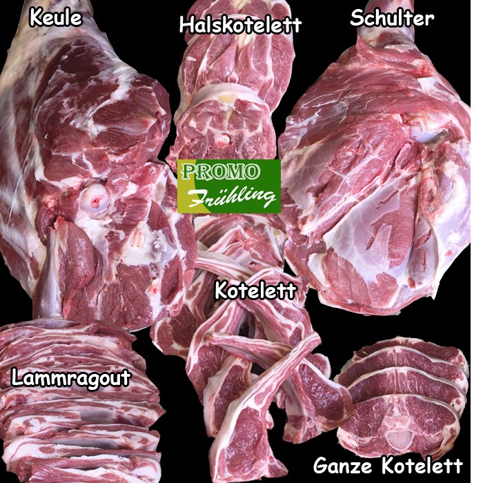Bio vom Bauernhof, unsere Lieblinge
