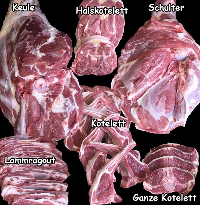 Bio vom Bauernhof, unsere Lieblinge