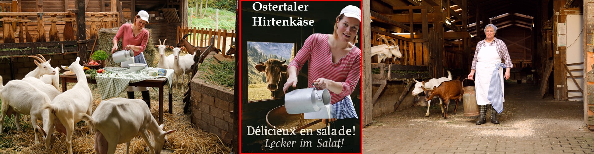 Bio vom Bauernhof : Fleisch, Aufschnitt, Lebensmittel und Bio-Produkte