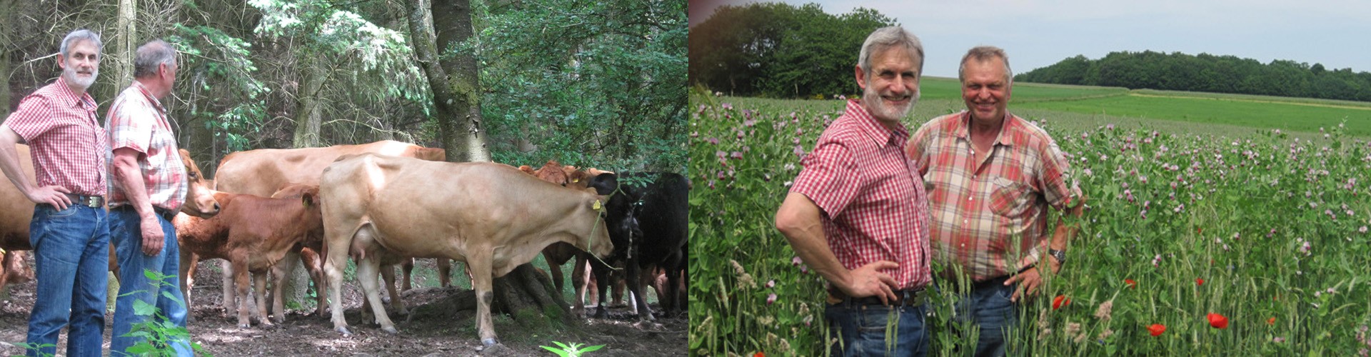 Bio vom Bauernhof : Fleisch, Aufschnitt, Lebensmittel und Bio-Produkte